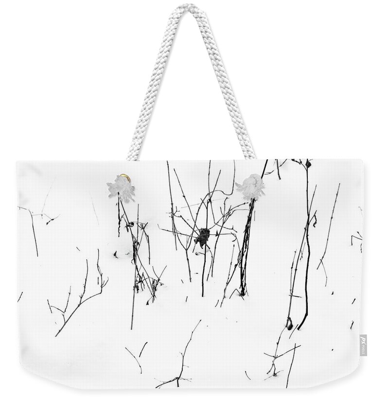Twig Weekender Tote Bag featuring the photograph Winter Twigs 2 High Contrast by Mary Bedy