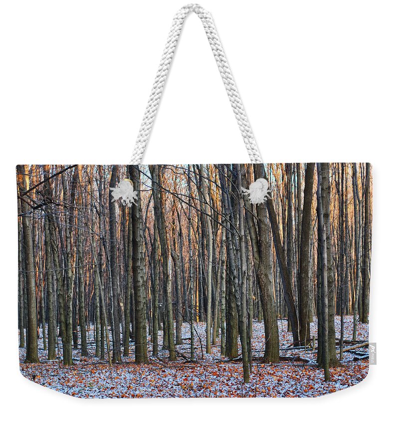 Tree Weekender Tote Bag featuring the photograph Winter - UW Arboretum Madison Wisconsin by Steven Ralser