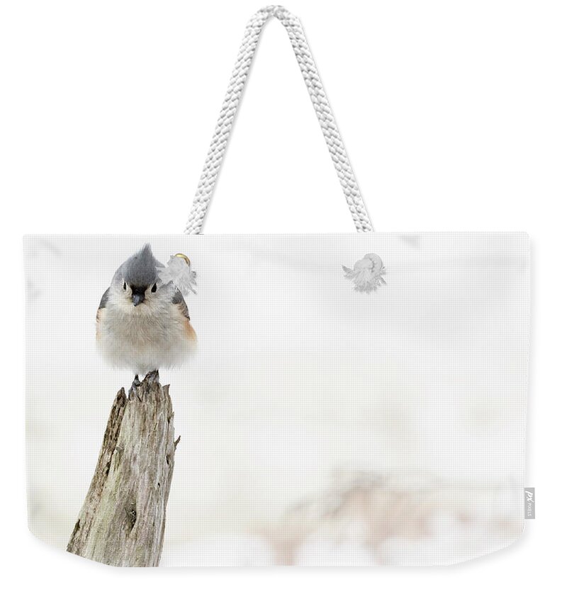 Bird Weekender Tote Bag featuring the photograph Winter Visit by Holly Ross