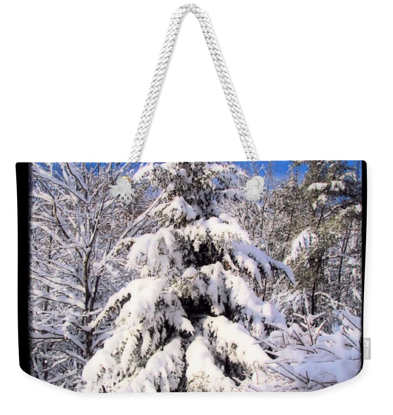 Snow Weekender Tote Bag featuring the photograph Winter Wonderland by Elizabeth Dow