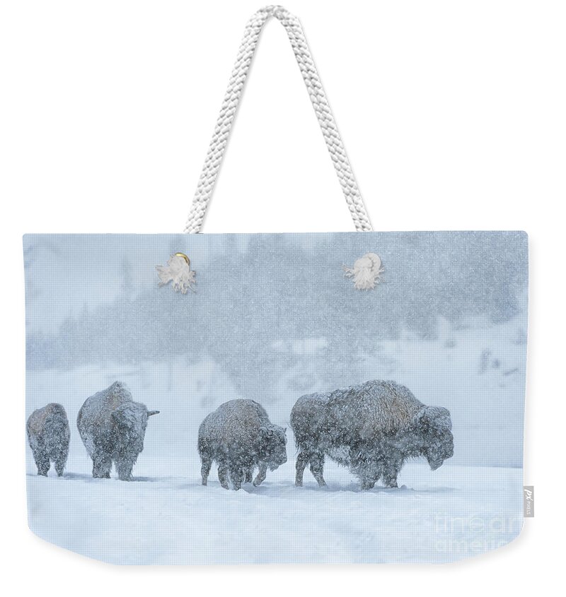 Bison Weekender Tote Bag featuring the photograph Winter's Burden by Sandra Bronstein