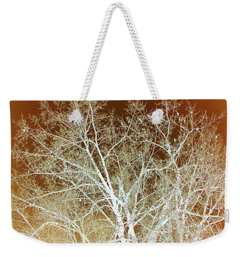 Cottonwoods Weekender Tote Bag featuring the photograph Winter's Dance by Cris Fulton