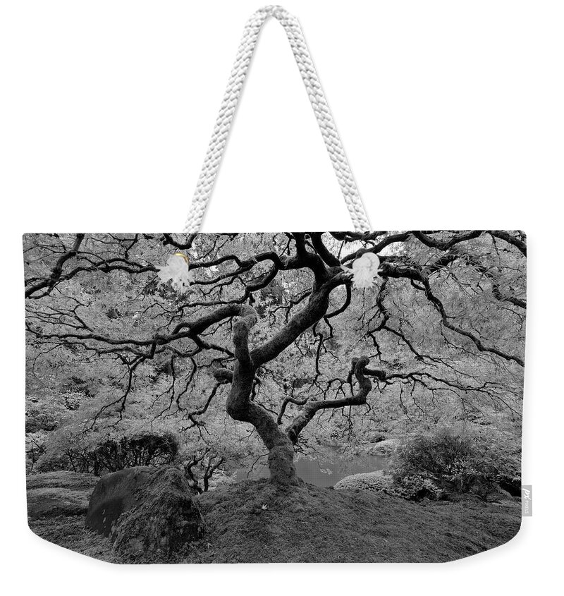 Black And White Weekender Tote Bag featuring the photograph Wisdom BW by Jonathan Davison