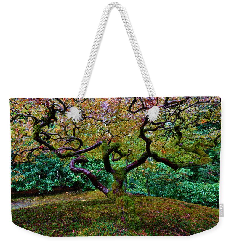 Japanese Maple Weekender Tote Bag featuring the photograph Wisdom Tree by Jonathan Davison