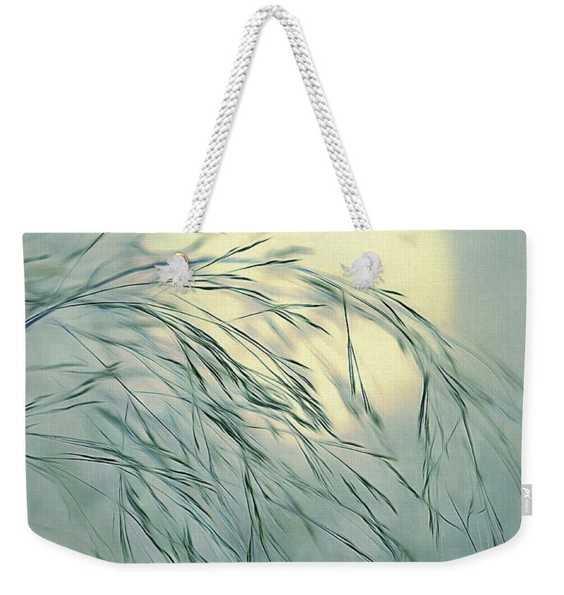 Sun Weekender Tote Bag featuring the digital art Wispy Sunset-6 by Nina Bradica