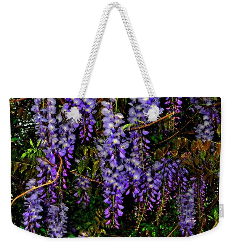 Flower. Wisteria Weekender Tote Bag featuring the photograph Wisteria 021 by George Bostian