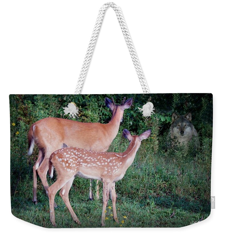 Deer Weekender Tote Bag featuring the photograph Wolf by Bill Stephens