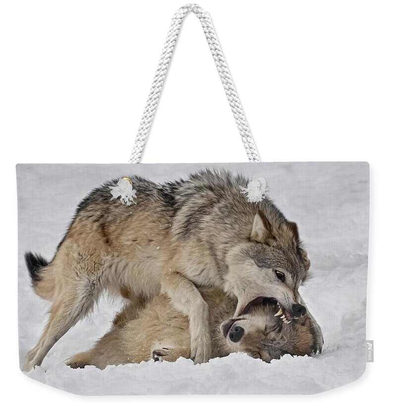 Wolf Disciplined Weekender Tote Bag featuring the photograph Wolf Disciplined by Wes and Dotty Weber