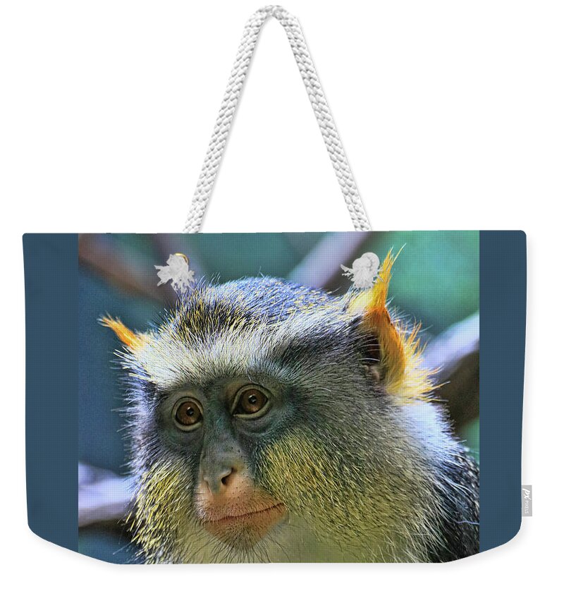 Monkey Weekender Tote Bag featuring the photograph Wolf's Monkey by Allen Beatty