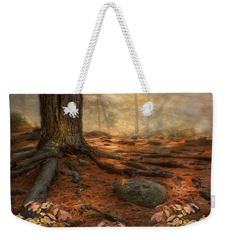 Woodland Weekender Tote Bag featuring the photograph Wonder Always by Robin-Lee Vieira