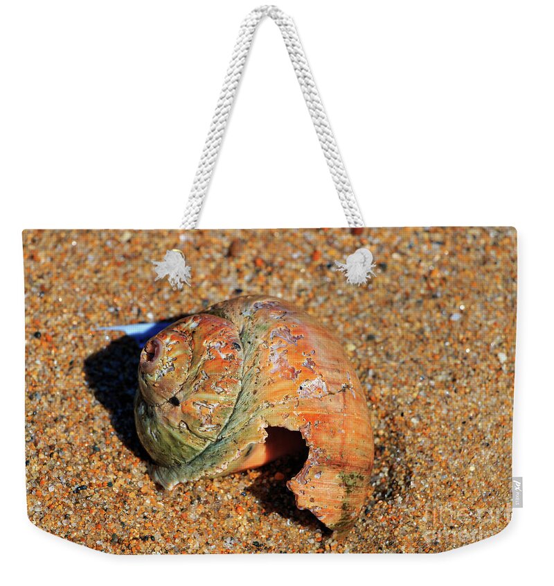 Shell Weekender Tote Bag featuring the photograph Wonderful Colors of Nature by Elizabeth Dow