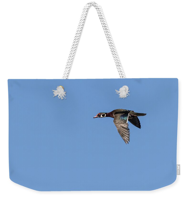 Wood Duck Weekender Tote Bag featuring the photograph Wood Duck 2017-1 by Thomas Young