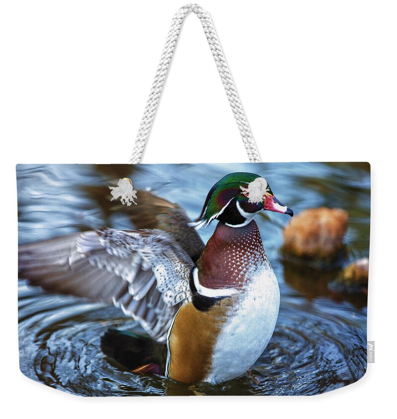 Wildlife Weekender Tote Bag featuring the photograph Wood Duck Flap by Bill and Linda Tiepelman