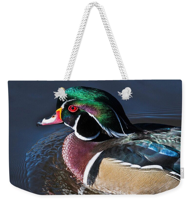 Aix Sponsa Weekender Tote Bag featuring the photograph Wood Duck Portrait by Dawn Key