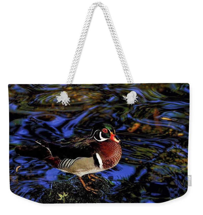 Wood Duck Weekender Tote Bag featuring the photograph Wood Duck by Stuart Harrison