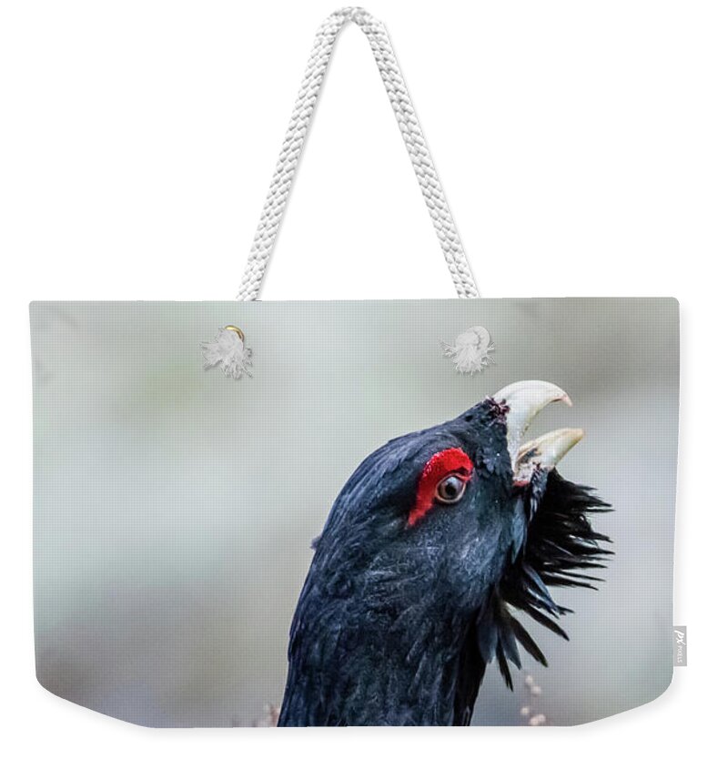 Heather Cock Weekender Tote Bag featuring the photograph Wood Grouse portrait by Torbjorn Swenelius