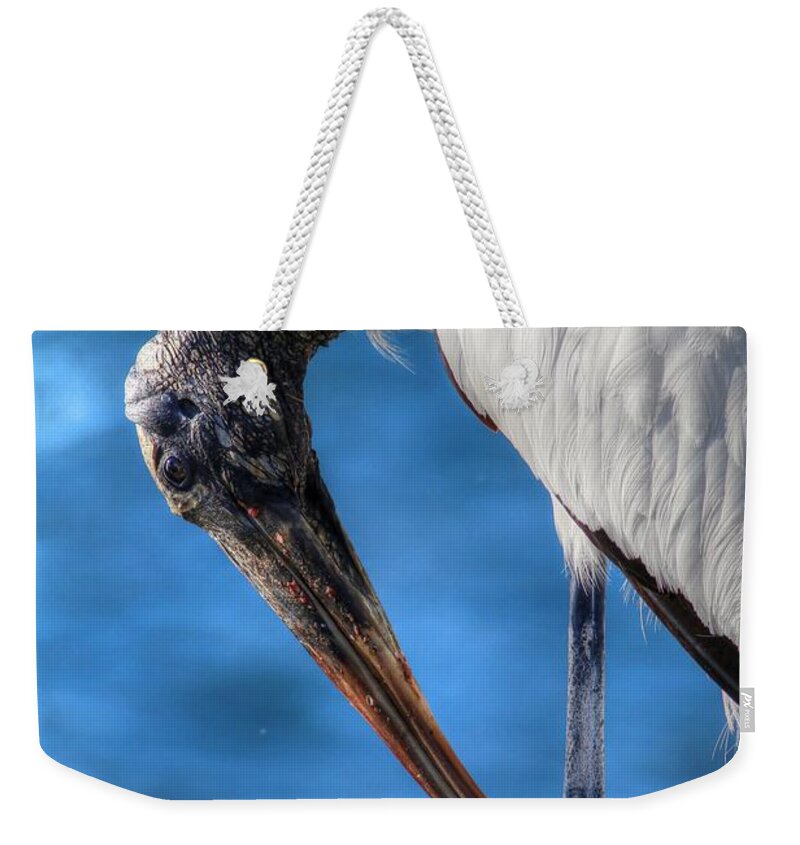 Carol R Montoya Weekender Tote Bag featuring the photograph Wood Stork by Carol Montoya