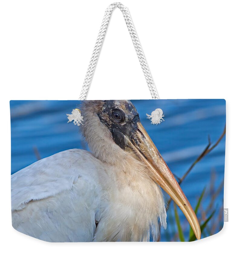 Wood Stork Weekender Tote Bag featuring the photograph Wood Stork in Florida by Natural Focal Point Photography