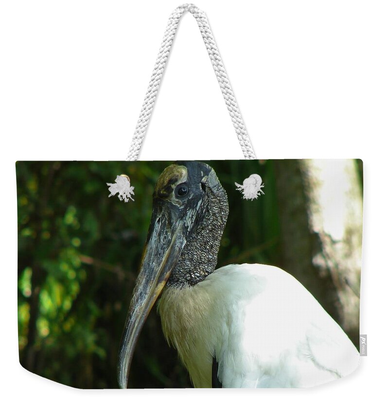 Bird Weekender Tote Bag featuring the photograph Wood Stork portrait by Carl Moore