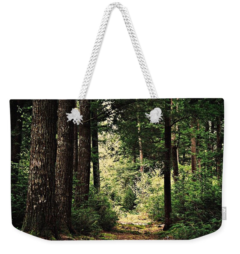 Woodland Hush Weekender Tote Bag featuring the photograph Woodland Hush by Joy Nichols