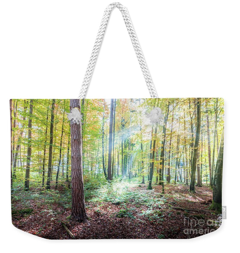 Autumn Weekender Tote Bag featuring the photograph Woodland In Fall by Hannes Cmarits