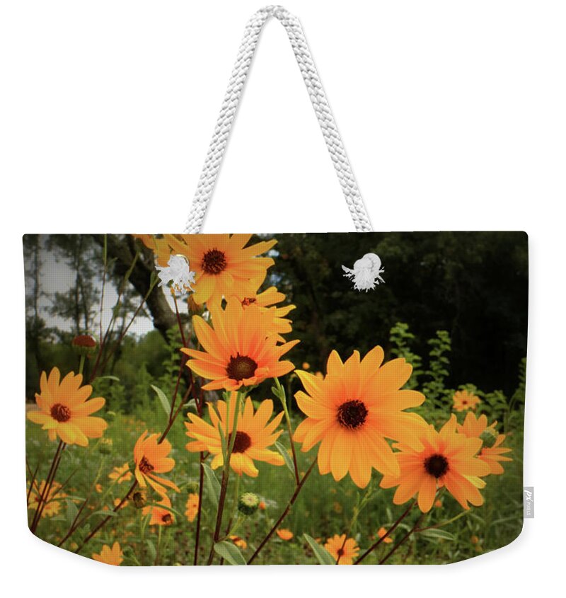 Flower Weekender Tote Bag featuring the photograph Woodland Sunflower by Scott Kingery