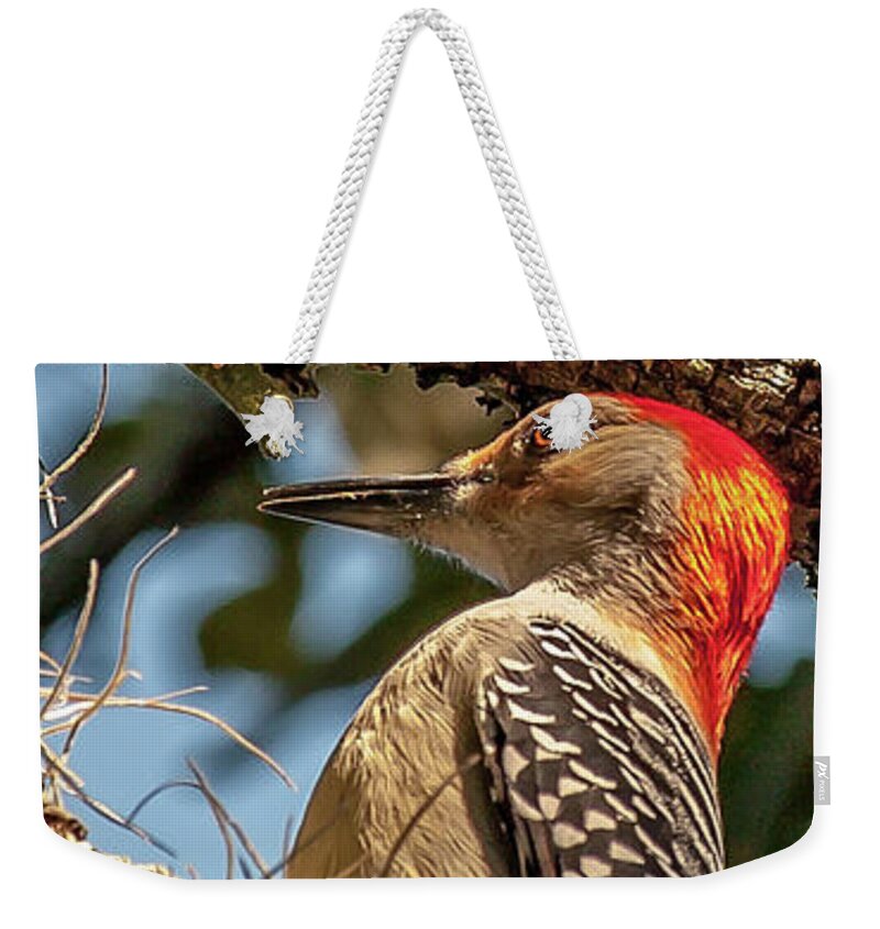 Woodpecker Weekender Tote Bag featuring the photograph Woodpecker Closeup by Mike Covington