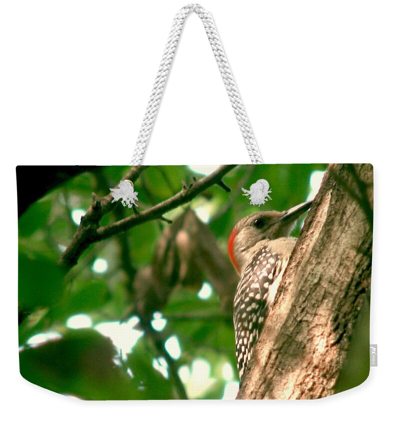 Woodpecker Weekender Tote Bag featuring the photograph Woody by Adele Moscaritolo