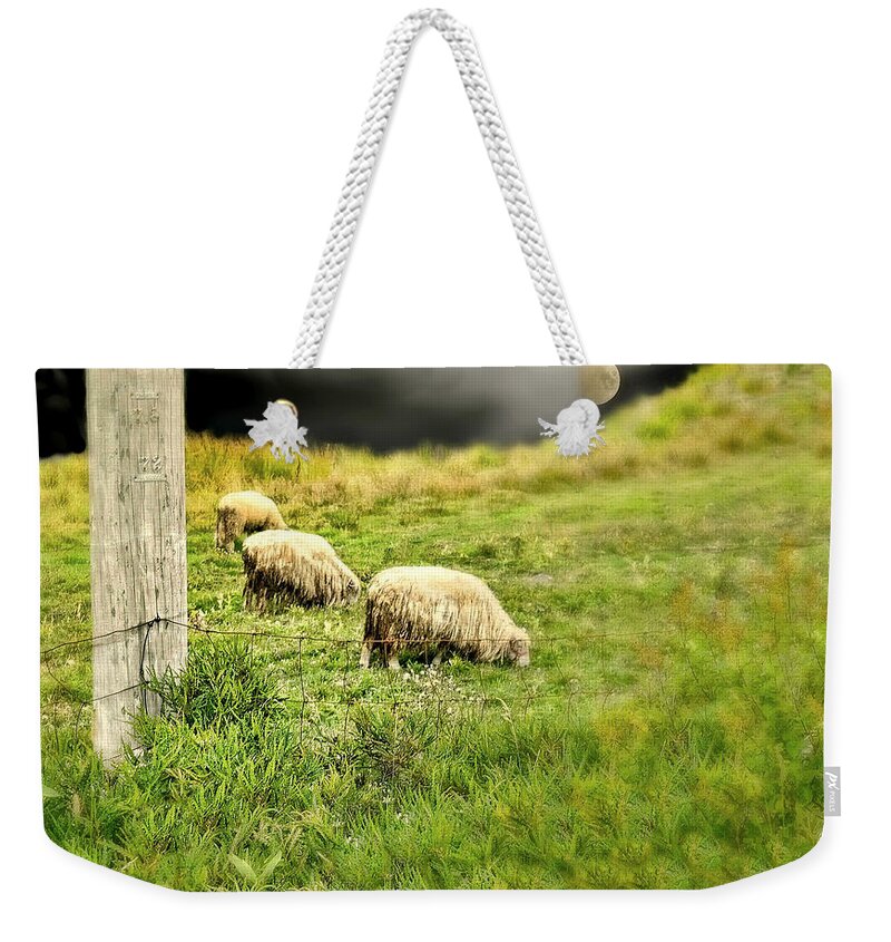 Sheep Weekender Tote Bag featuring the photograph Wooly by Diana Angstadt