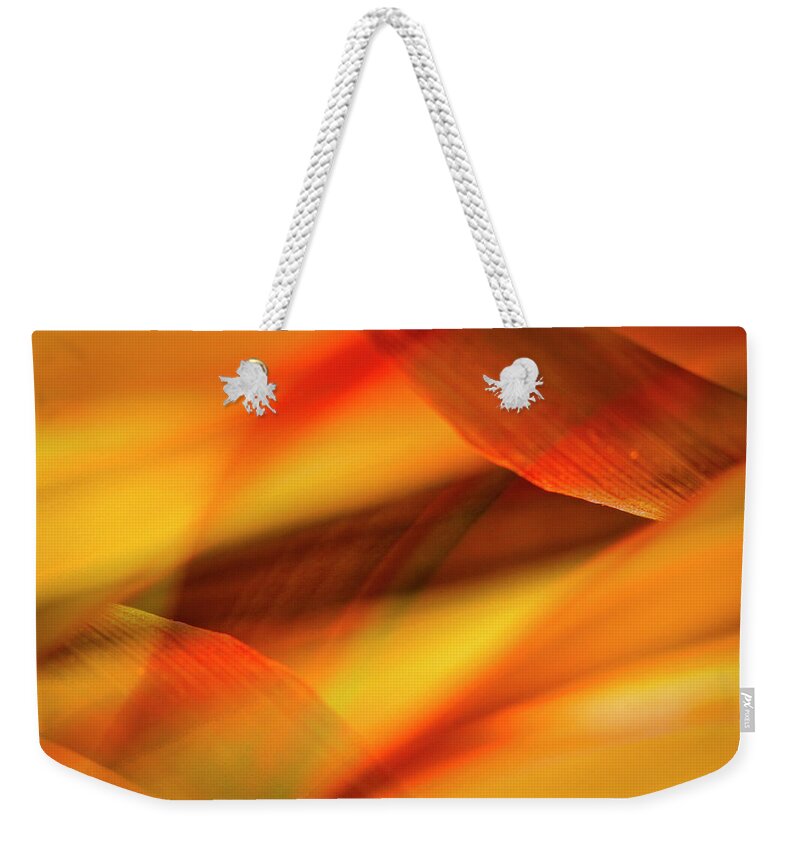Flowers Weekender Tote Bag featuring the painting Woven Together by Francine Collier