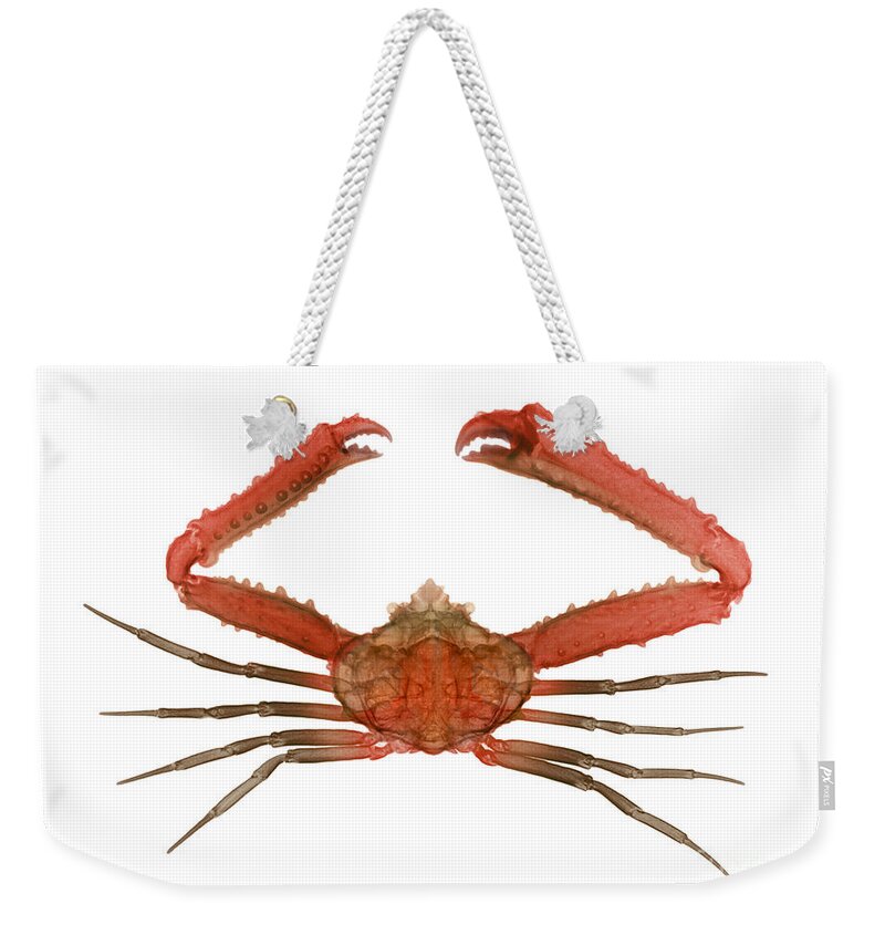 Xray Weekender Tote Bag featuring the photograph X-ray Of Deep Water Crab by Ted Kinsman