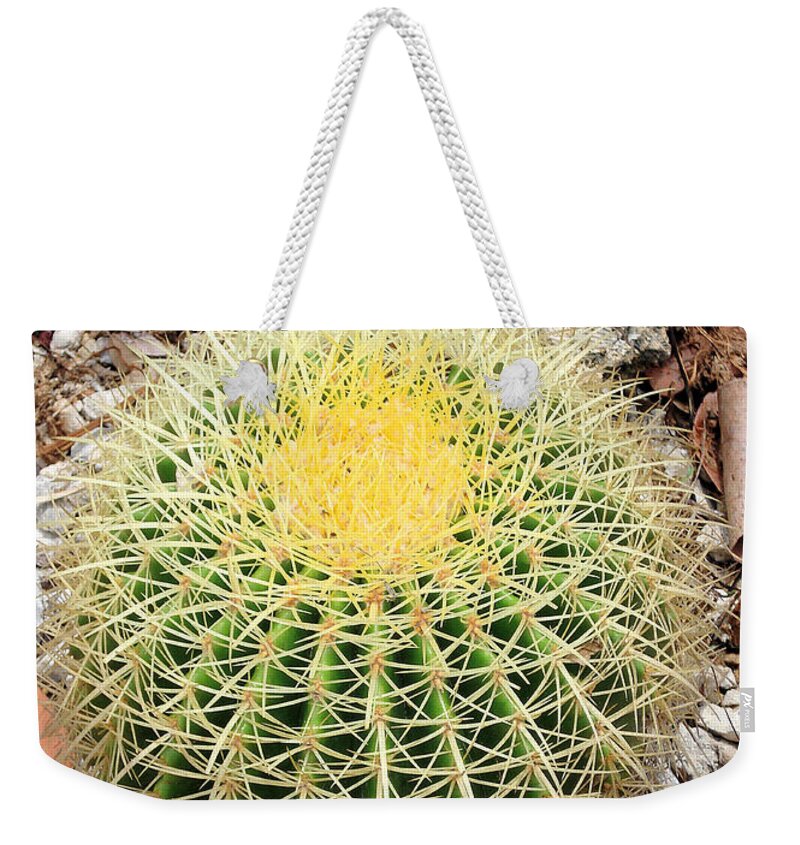Plant Weekender Tote Bag featuring the photograph Xerophyte by Rosalie Scanlon