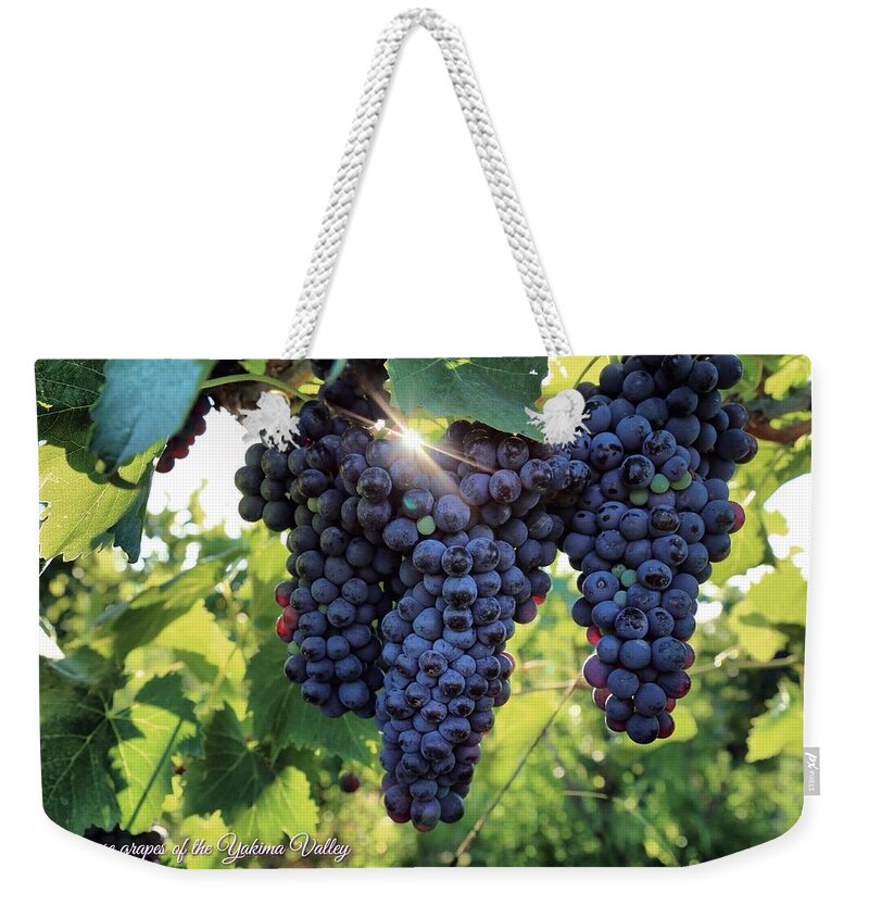Yakima Valley Grapes Weekender Tote Bag featuring the photograph Yakima Valley grapes by Lynn Hopwood
