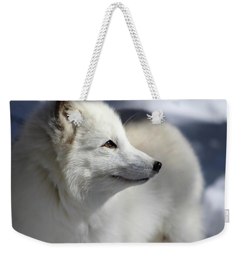 Arctic Fox Weekender Tote Bag featuring the photograph Yana the Fox by Azthet Photography