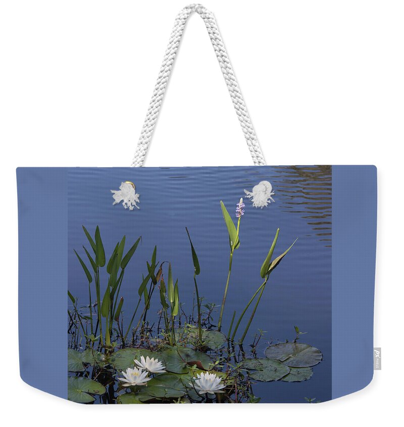 Photograph Weekender Tote Bag featuring the photograph Yawkey Wildlife Reguge Water Lilies with Rare Plant by Suzanne Gaff
