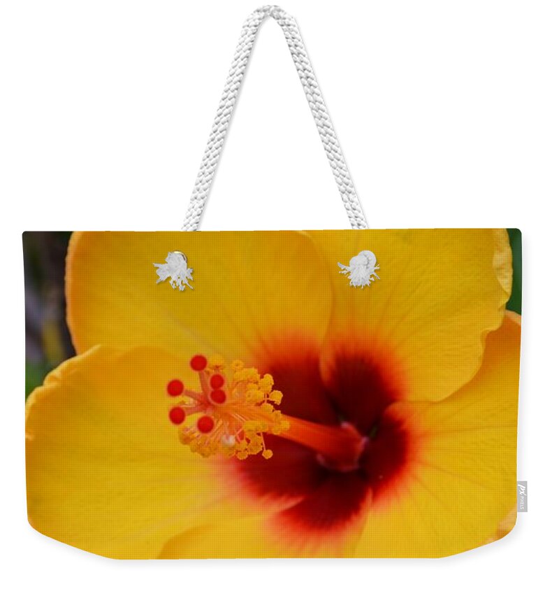 Yellow And Crimson Hibiscus Weekender Tote Bag featuring the photograph Yellow and Crimson Hibiscus by Warren Thompson