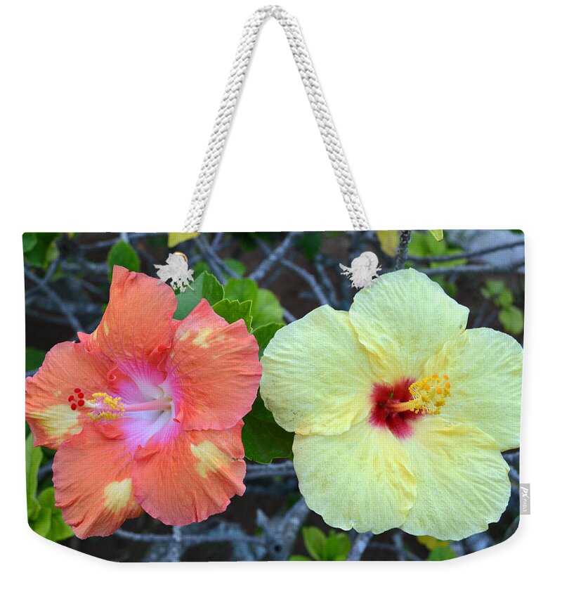 Flower Weekender Tote Bag featuring the photograph Yellow and Orange Hibiscus Flowers by Amy Fose