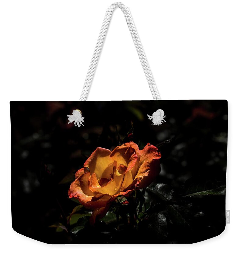Jay Stockhaus Weekender Tote Bag featuring the photograph Yellow and Orange by Jay Stockhaus