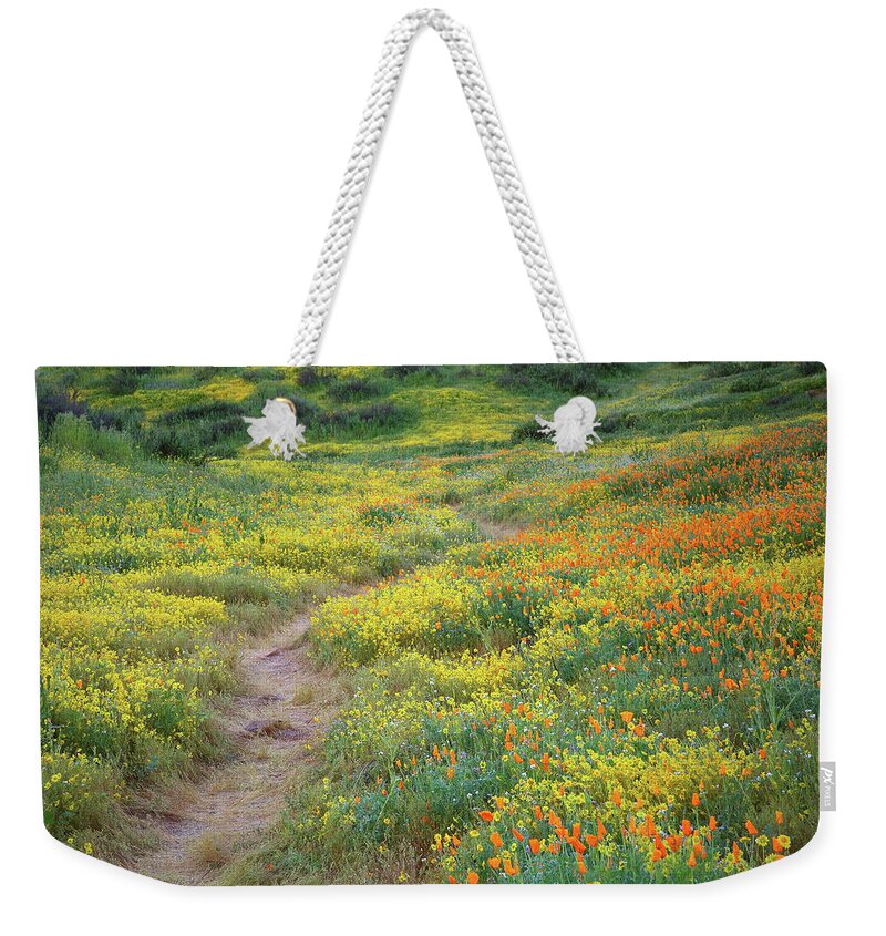 Wildflower Weekender Tote Bag featuring the photograph Yellow and orange wildflowers along trail near Diamond Lake by Jetson Nguyen