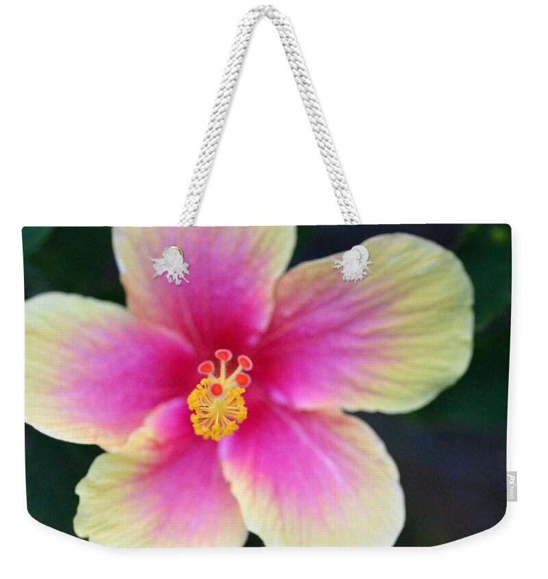 Flower Weekender Tote Bag featuring the photograph Yellow and Pink Hibiscus 2 by Amy Fose