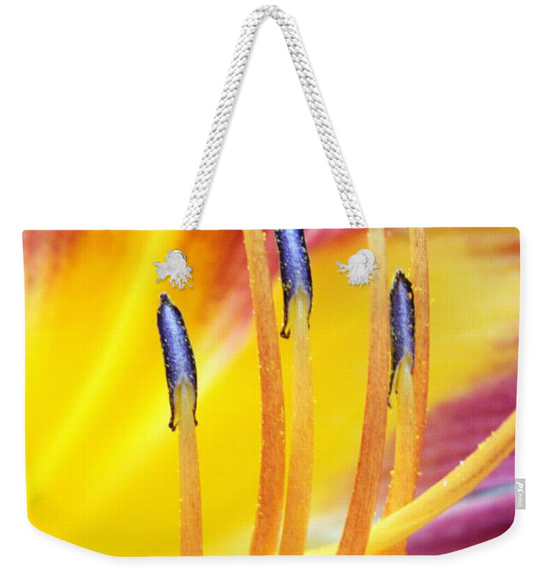 Flowers Weekender Tote Bag featuring the photograph Yellow and Red by Jennifer Robin