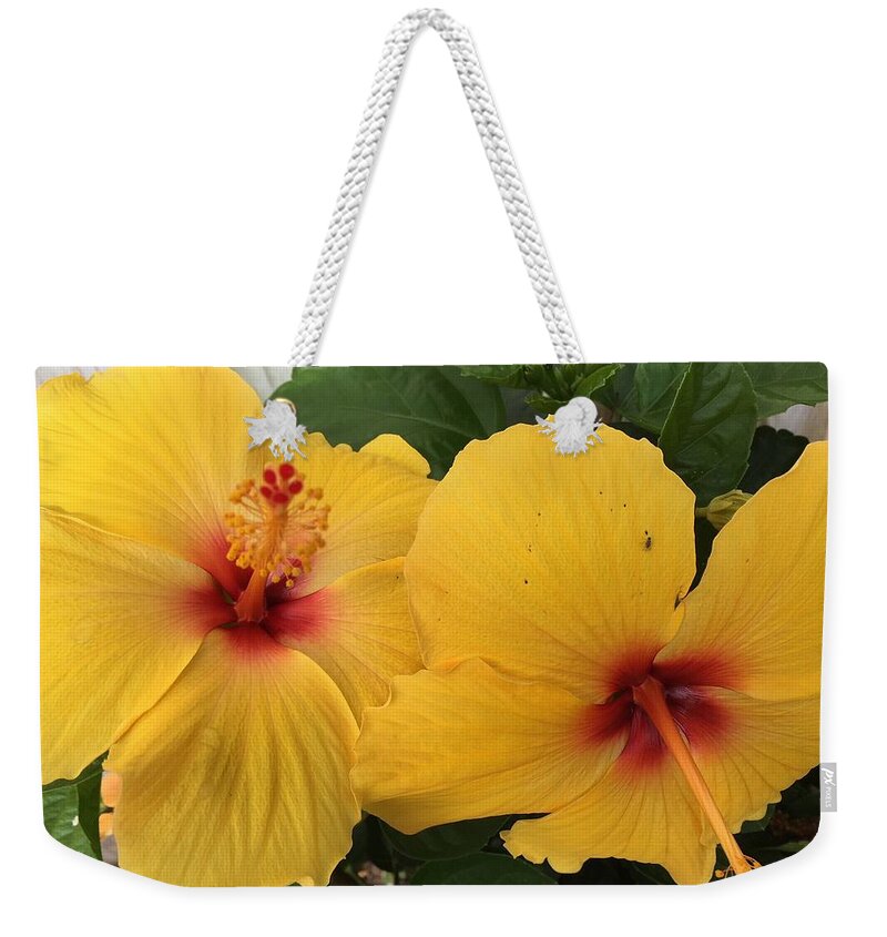 Hibiscus Weekender Tote Bag featuring the photograph Yellow Beauties by Val Oconnor