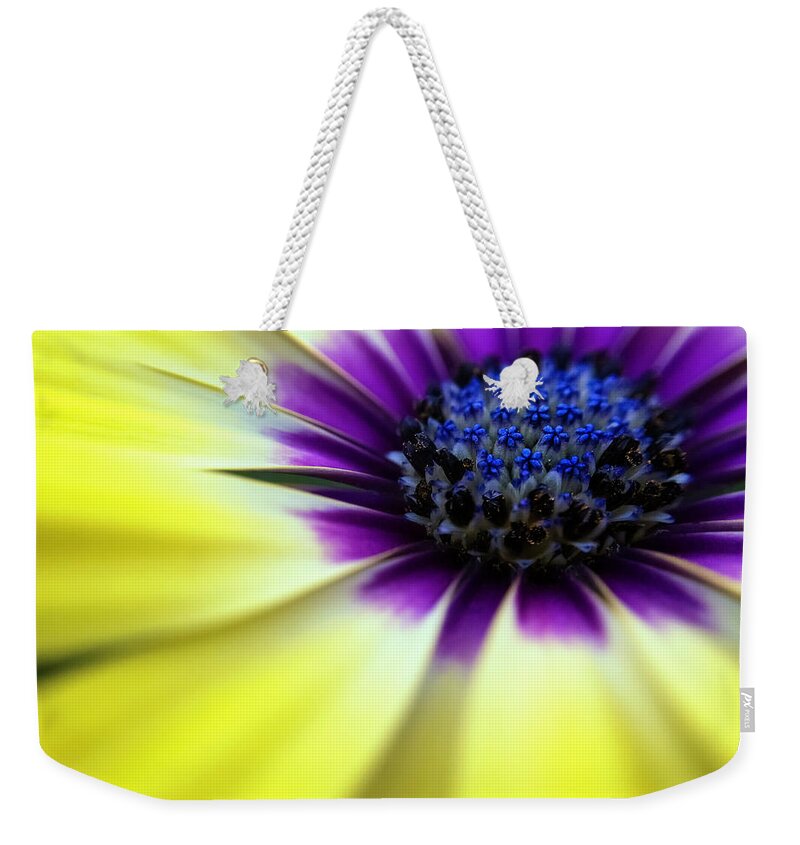 Spring Weekender Tote Bag featuring the photograph Yellow beauty with a hint of blue and purple by Eduard Moldoveanu