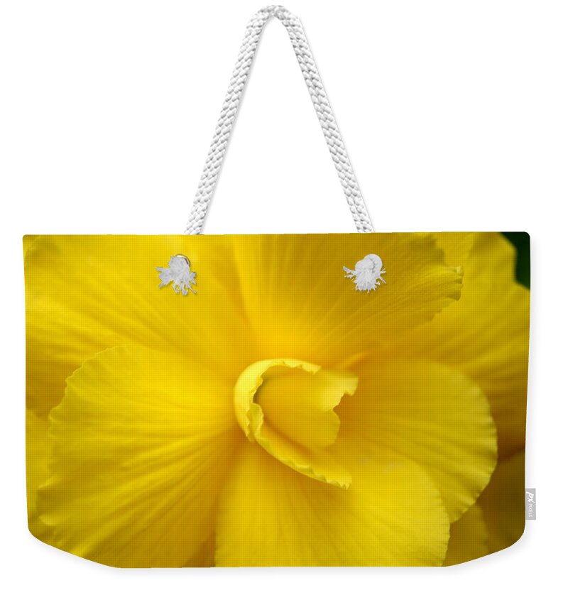 Begonia Weekender Tote Bag featuring the photograph Yellow Begonia by Beth Collins