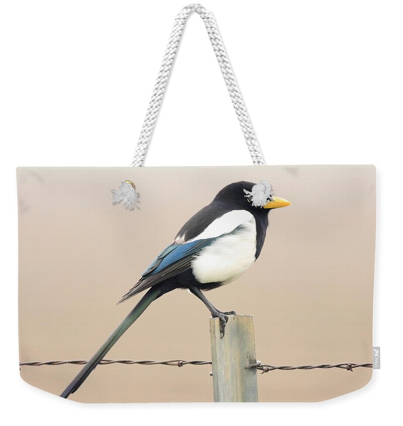 Bird Weekender Tote Bag featuring the photograph Yellow-billed Magpie by Wingsdomain Art and Photography