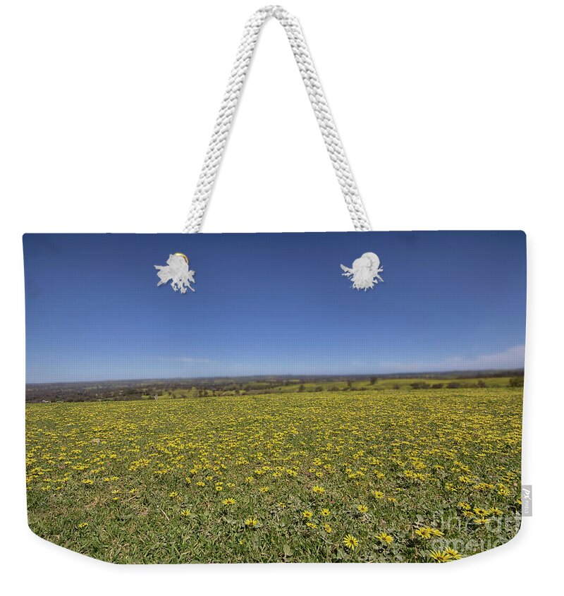 Trees Weekender Tote Bag featuring the photograph Yellow Blanket II by Douglas Barnard