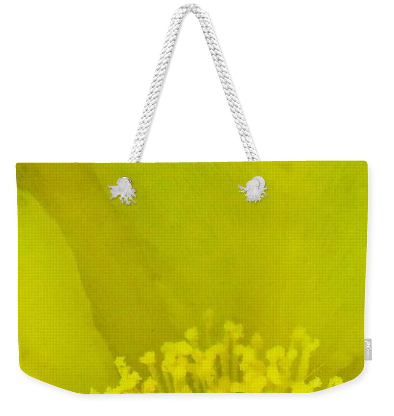  Arizona Weekender Tote Bag featuring the photograph Yellow Bloom 1 - Prickly Pear Cactus by Judy Kennedy