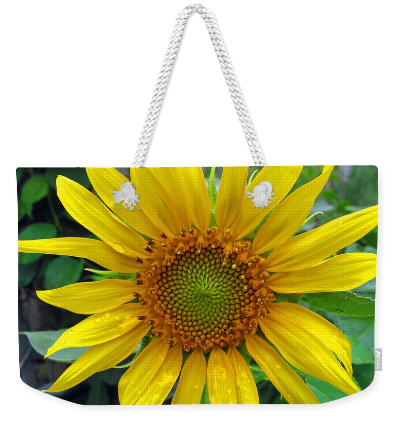 Floral Weekender Tote Bag featuring the photograph Yellow Burst by Barbara McDevitt