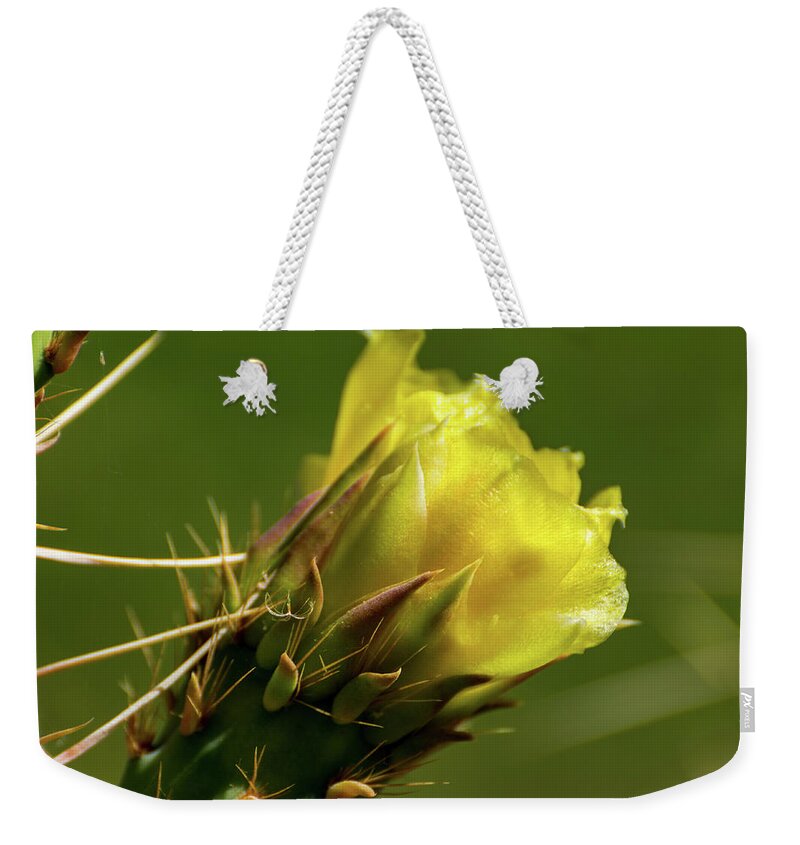 Yellow Weekender Tote Bag featuring the photograph Yellow Cactus Flower by Douglas Killourie