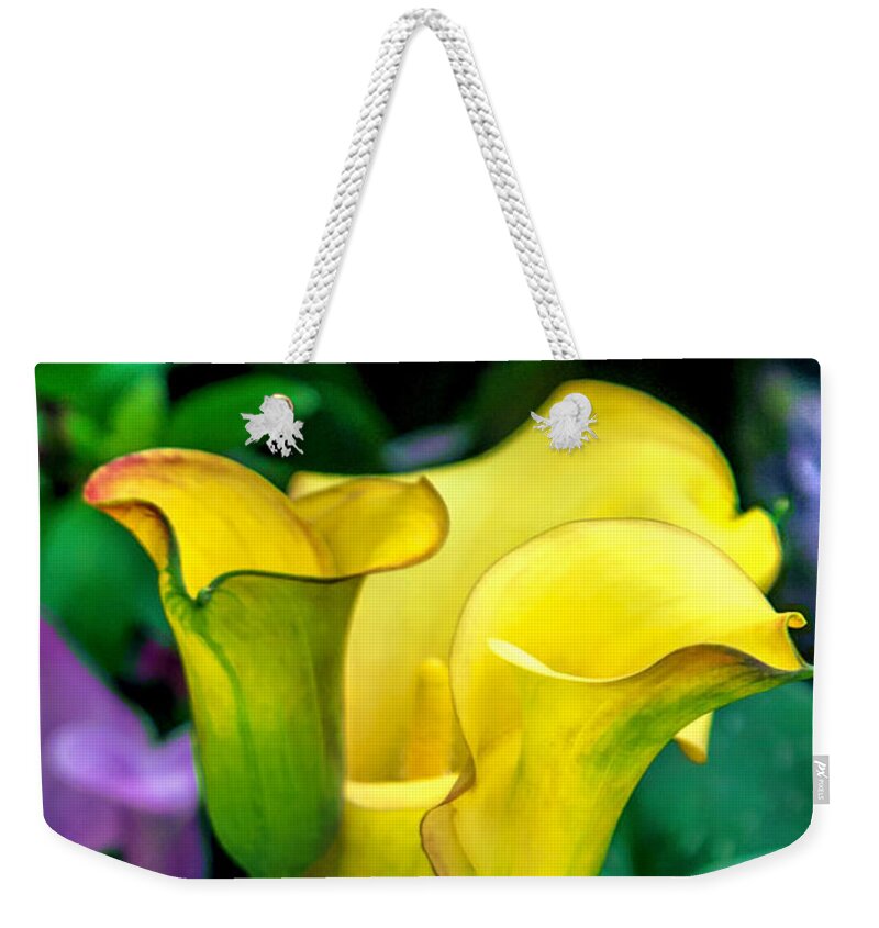 Spring Flowers Weekender Tote Bag featuring the photograph Yellow Calla Lilies by Az Jackson